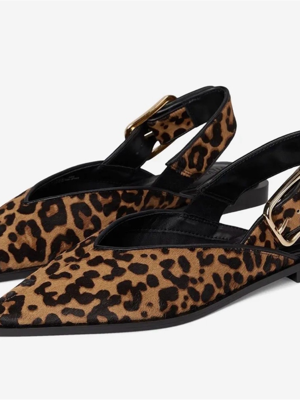 Steve Madden Women’s leopard print- Black and Brown. Shay. Size 9. NWI